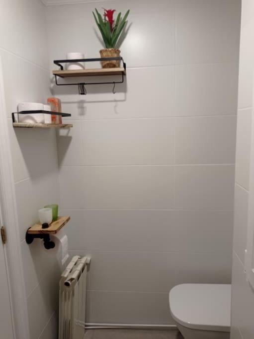 דירות סן סבסטיאן Piso Con Terraza Junto A La Playa מראה חיצוני תמונה